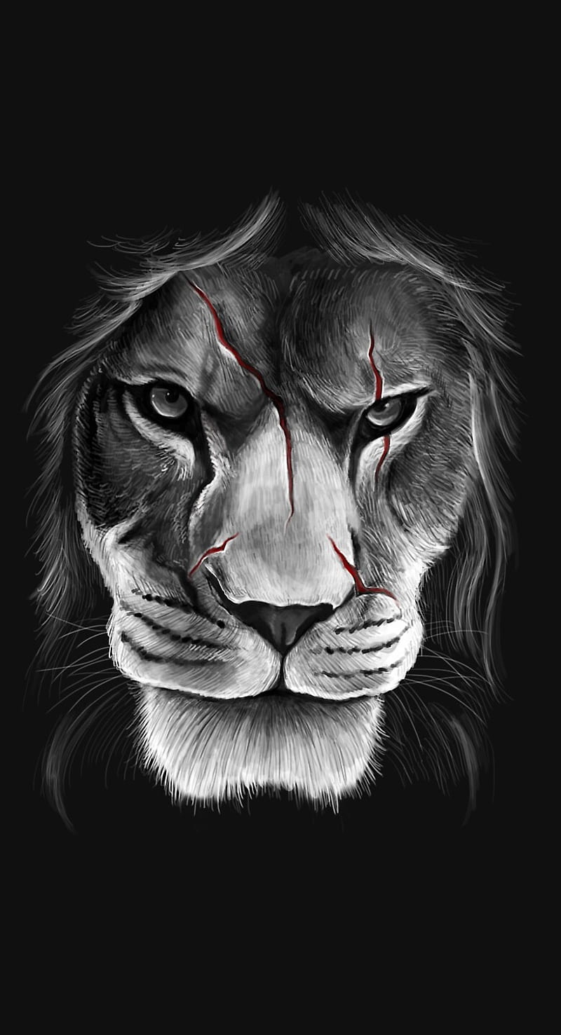 Cara de león, en blanco y negro, cara cortada, leon, de miedo, Fondo de  pantalla de teléfono HD | Peakpx