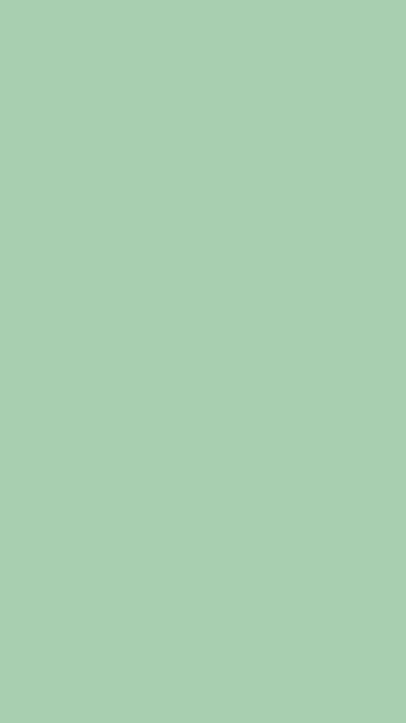 Green, color, background, light, HD phone wallpaper | Peakpx