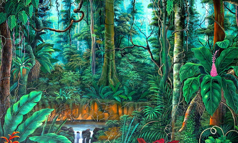 Agua, amazonas, pintura, selva, selva, selva amazónica, Fondo de pantalla  HD | Peakpx