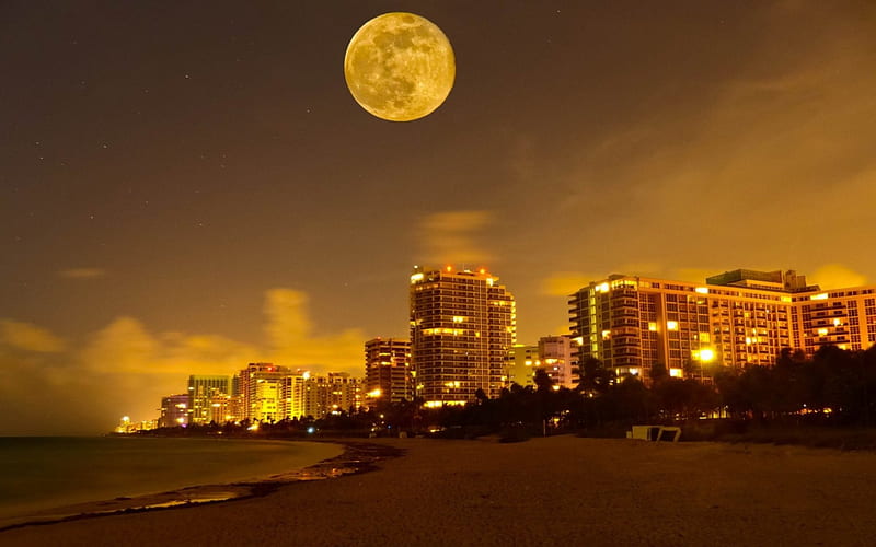 moon over miami, beach, moon, city, nights, lights, sea, HD wallpaper