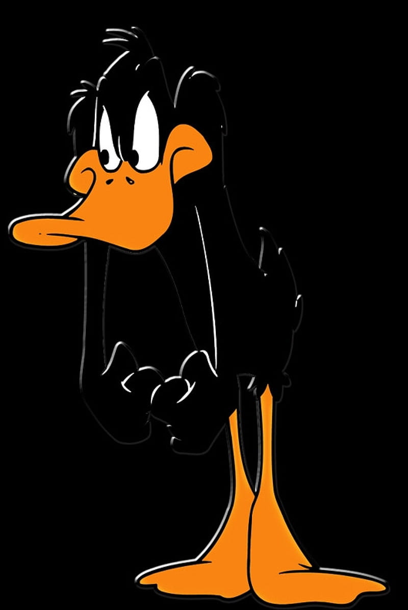 Daffy Duck, cartoons, HD phone wallpaper