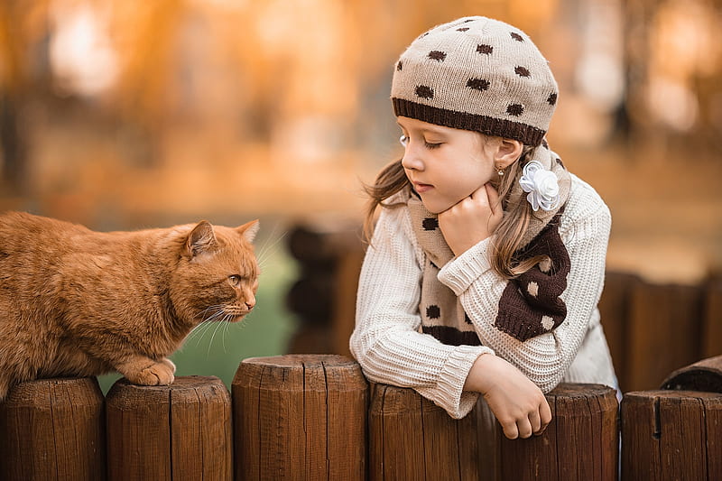 girl, copil, child, cat, pisici, hat, fence, autumn, brown, toamna, wood, HD wallpaper