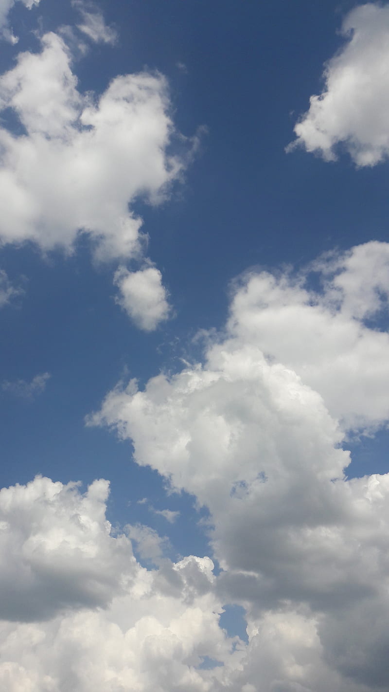 Sky, blue, bluesky, cloud, clouds, noon, summer, white, HD phone wallpaper