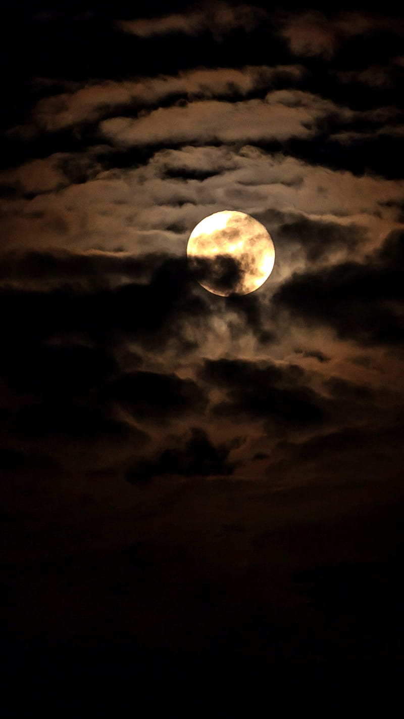 Dark MoonLight , dark moonlight, moon, night, HD phone wallpaper