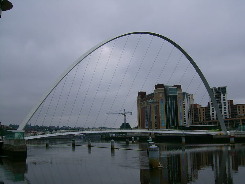 Millenium Bridge Newcastle..., the, pride, tyne, of, HD wallpaper