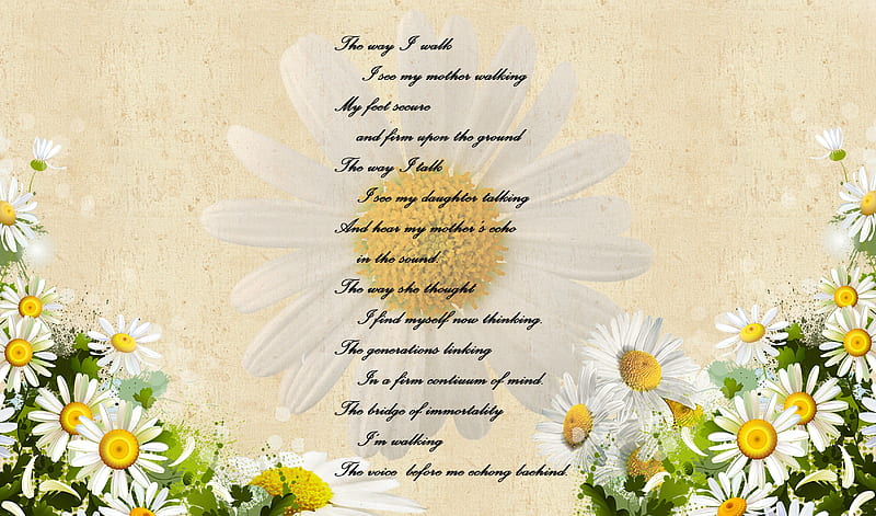 The Bridge, Mom, poetry, Momma, spring, Mothers Day, daisies, poem, Mama, love, chamomile, flowers, daisy, HD wallpaper