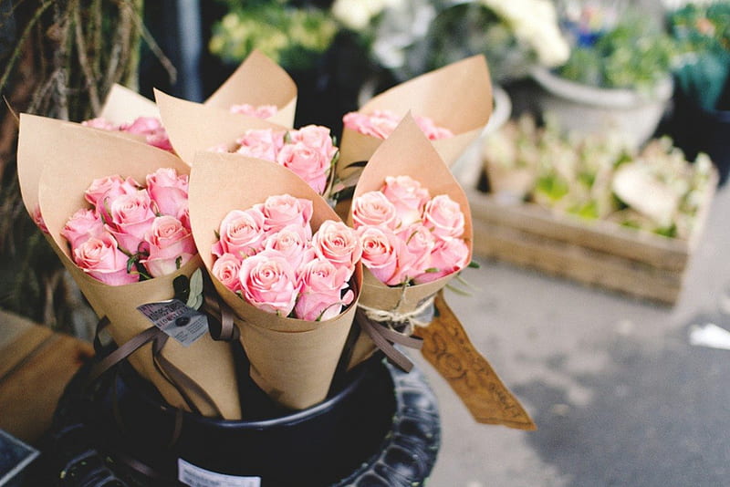 Pink Roses, shop, rose, florist, roses, city, flower, flowers, paper, pink, street, HD wallpaper