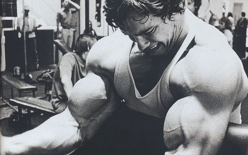 Arnold Schwarzenegger Arms, arnold-schwarzenegger, body-builder,  celebrities, HD wallpaper | Peakpx