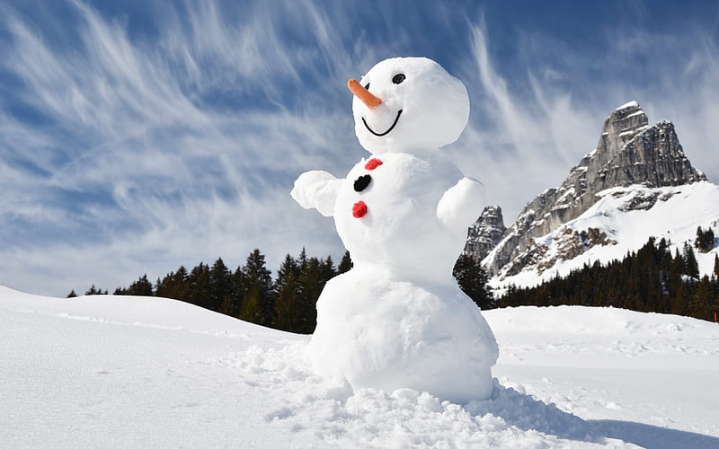 snowman, winter, mountain landscape, forest, snow, HD wallpaper