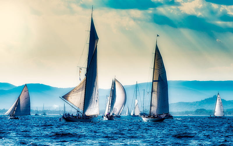 sailing regatta, sea, evening, sunset, sailboats, seascape, France, HD wallpaper