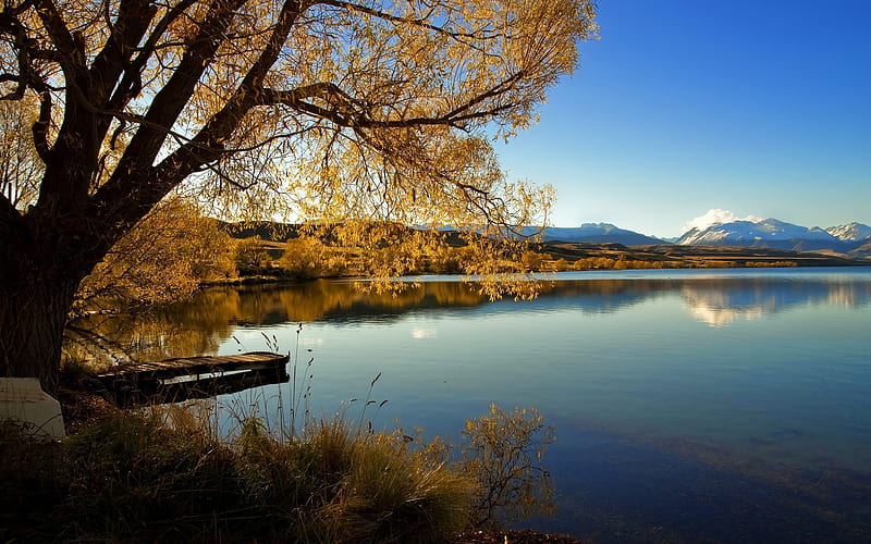 New Zealand scenic Lake-Lake Alexandrina Jolie, HD wallpaper