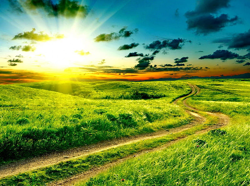 Path through field, pretty, colorful, glow, sun, grass, dazzling, bonito, sunset, clouds, nice, green, path, sunrise, aamzing, light, lovely, sunlight, greenery, flwoers, spring, sky, rays, summer, sunshine, nature, meadow, field, HD wallpaper