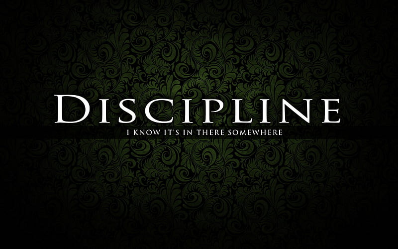 Discipline, motivation, sport, quotes, quote, HD wallpaper | Peakpx