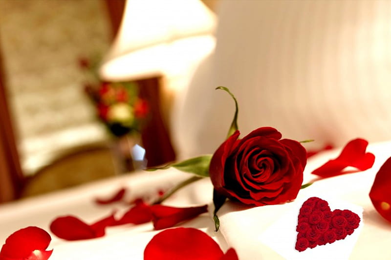♡.♡HAPPY VALENTINE's DAY ♡.♡, valentines day, red, rose, heart ...