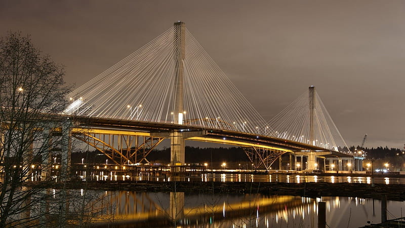 port mann bridge over the fraser river in british columbia, modern, cables, bridge, river, lights, HD wallpaper