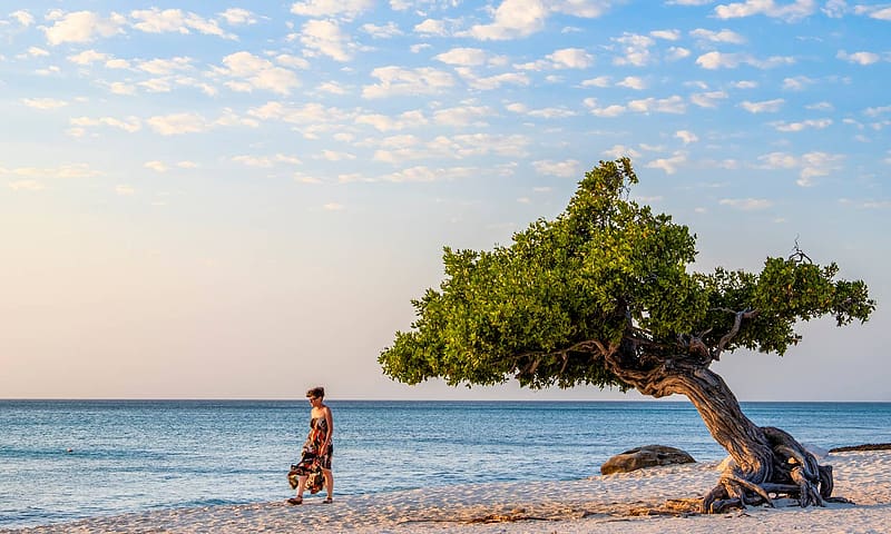 Aruba Vacation Rentals. Resort and Villa Rentals, HD wallpaper
