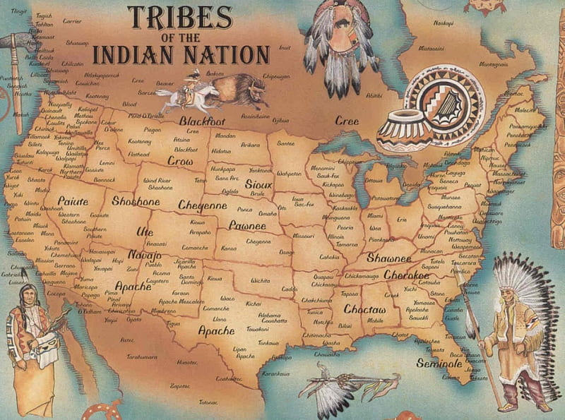 Native American Tribes, tribes, Native American, factoid, history, infographic, HD wallpaper