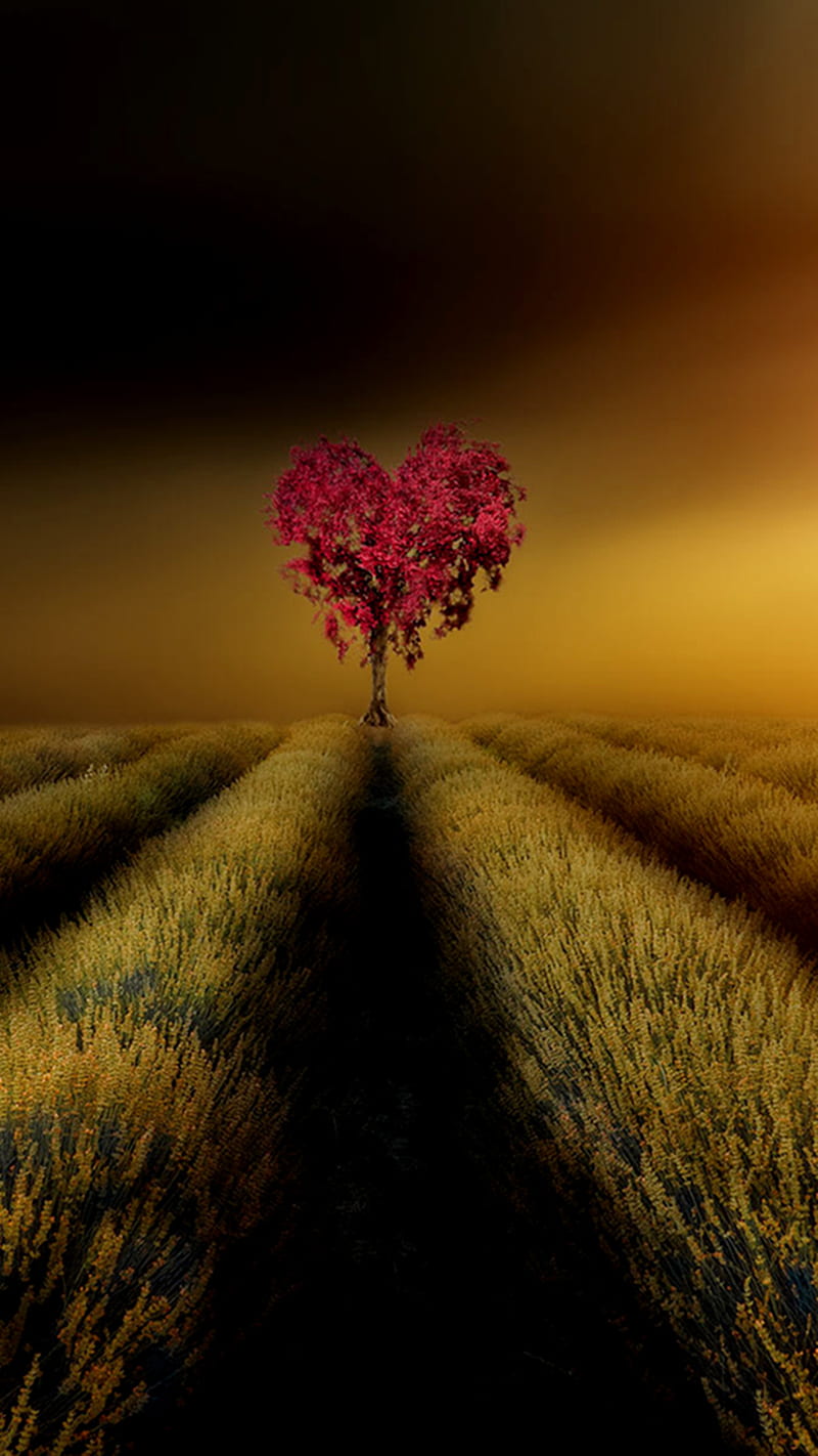 Love Tree, heart, pink, romantic, HD wallpaper