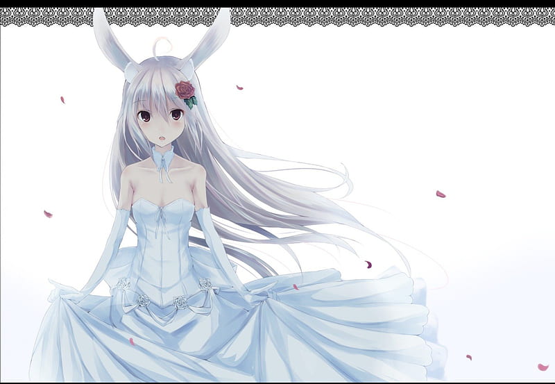Hermosa novia de conejito, bonita, Anime, vestido de novia, novia,  conejita, Fondo de pantalla HD | Peakpx