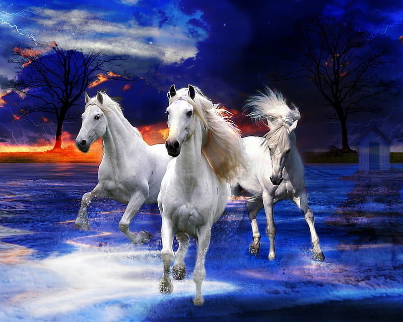 Wild horses, beach, horse, run, animal, HD wallpaper