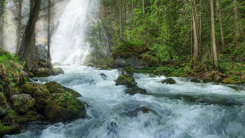 splendid waterfall into a ranging rive, forest, rocks, rapids, waterfall, river, spray, HD wallpaper