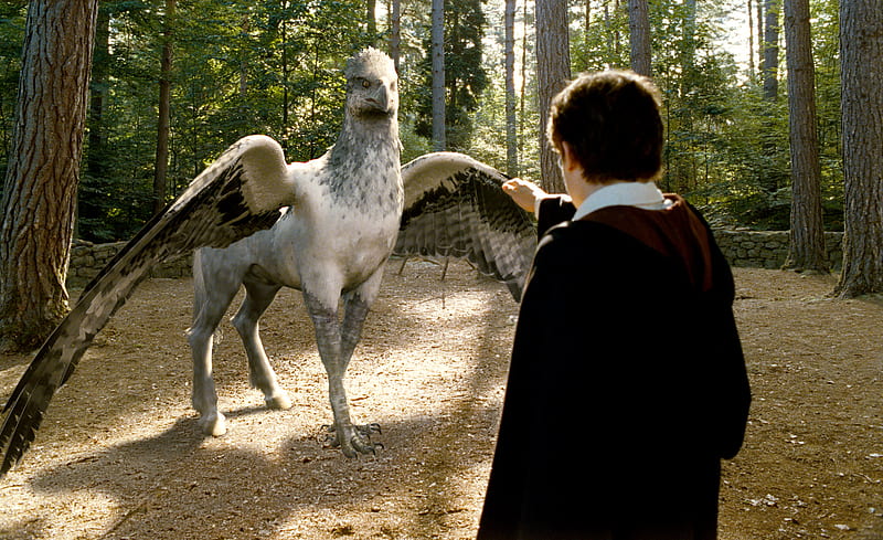 Harry Potter, Harry Potter And The Prisoner Of Azkaban, Buckbeak (Harry ...