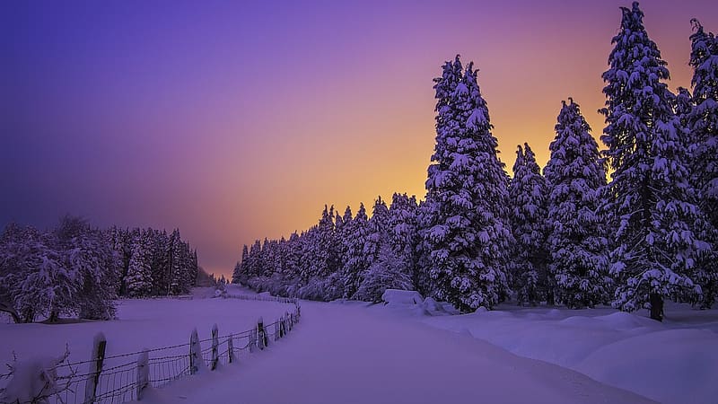 Winter in Basque Country, Spain, snow, morning, landscape, trees, colors, sky, sunrise, HD wallpaper