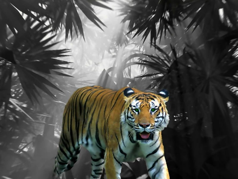 Tiger, tigers, 3d, HD wallpaper
