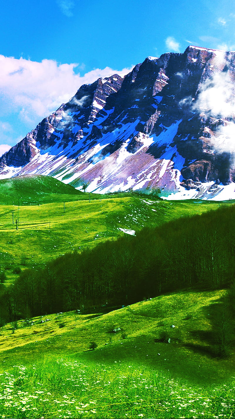Mountain landscape, Mother Nature, Nature, earth, flowers ...