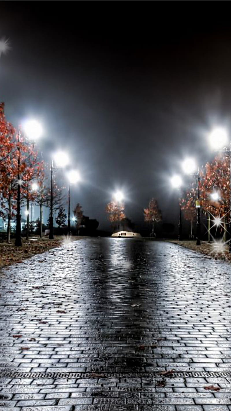 calm street at night, autumn, lights, stone, tree, HD phone wallpaper