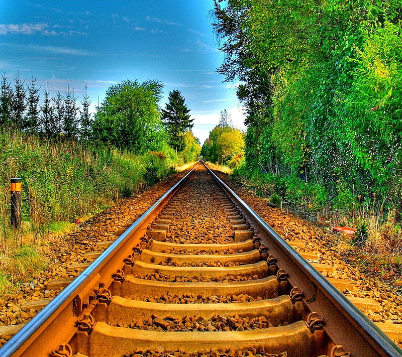 Rail Tracks, landscape, nature, new, nice, railway, trees, HD wallpaper