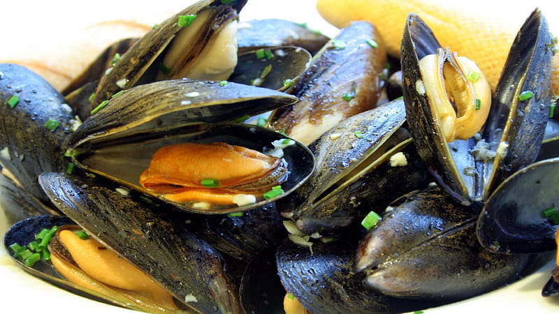 mussels, seafood, shell, food, HD wallpaper