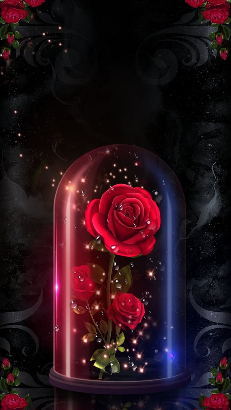 Gulab Ka Phool, Red Rose Under A Glass Dome, flower, HD phone wallpaper