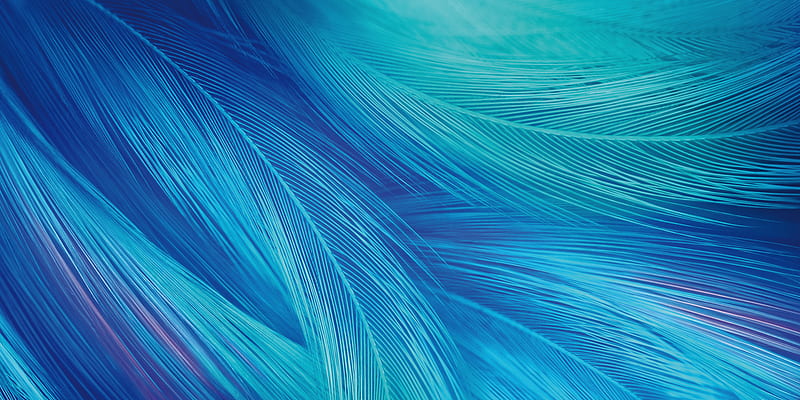 vivo x27 stock , blue feathers, Abstract, HD wallpaper