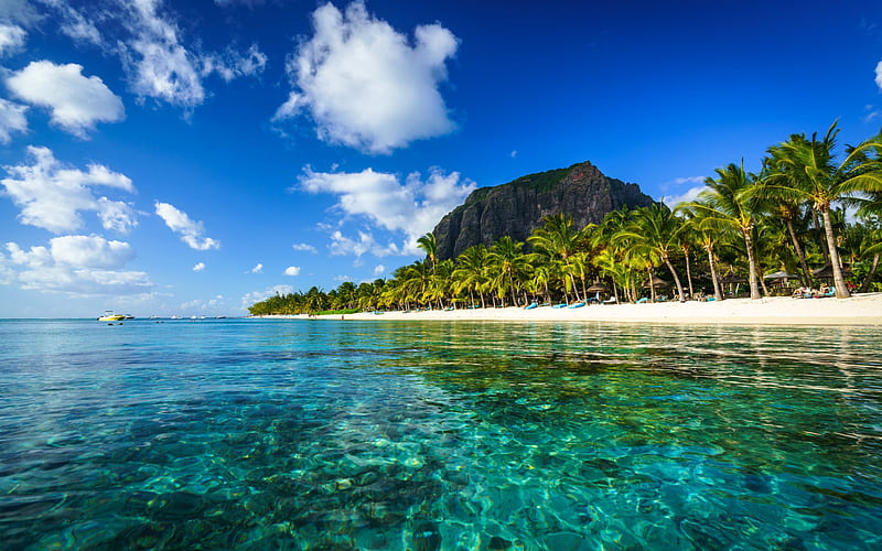 Le Morne Brabant, Indian Ocean, Mauritius, azure lagoon, beach, tropical island, ocean, palms, summer travel concepts, HD wallpaper