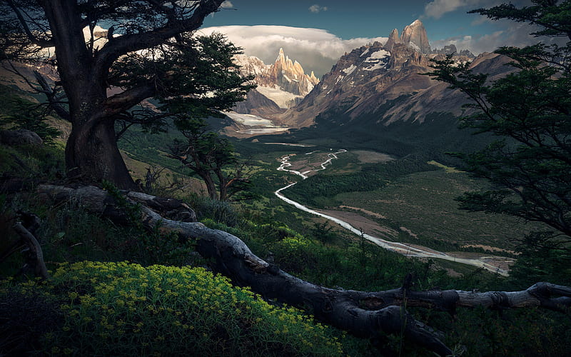 Patagonia, mountains, forest, river, panorama, Argentina, South America, HD wallpaper