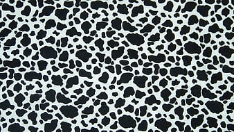 Black And White Cow Print 9 Cow Print, HD wallpaper