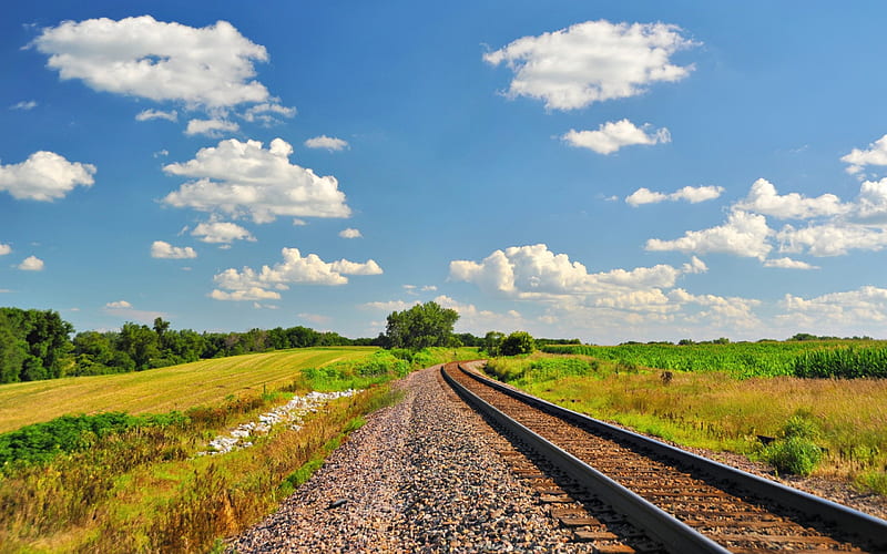 A Summer Day, summer, nature, fields, railroad tracks, HD wallpaper