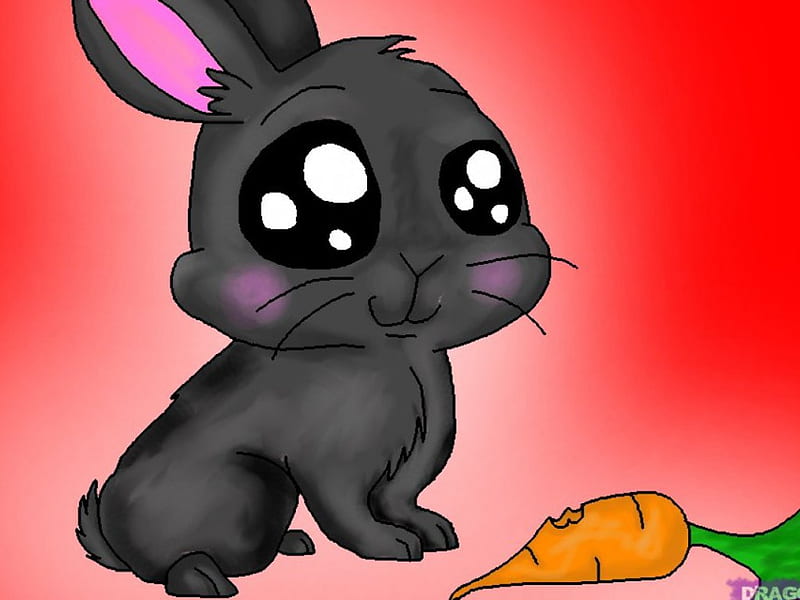 Un conejito de anime, ojos grandes, zanahoria, lindo conejo animado, Fondo  de pantalla HD | Peakpx