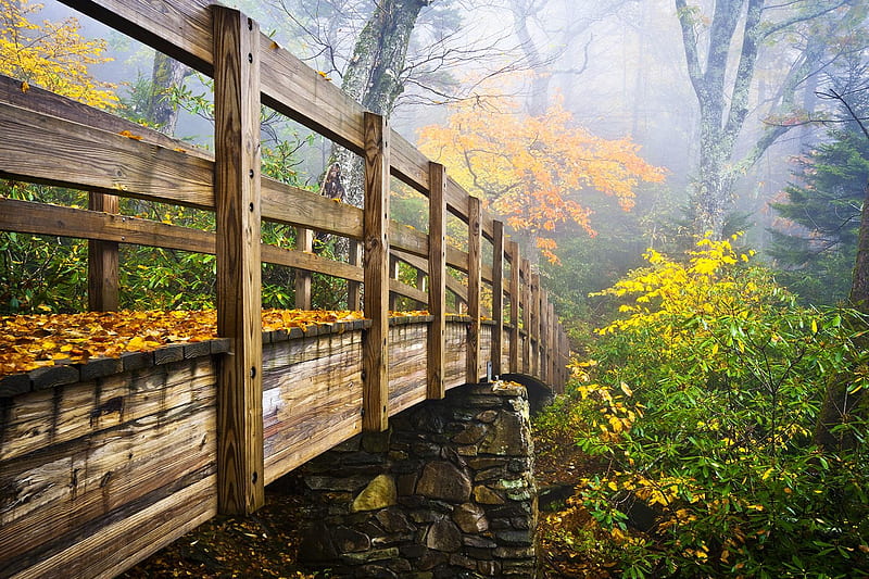 Appalachian Trail, usa, bridge, plants, wooden, virginia, HD wallpaper