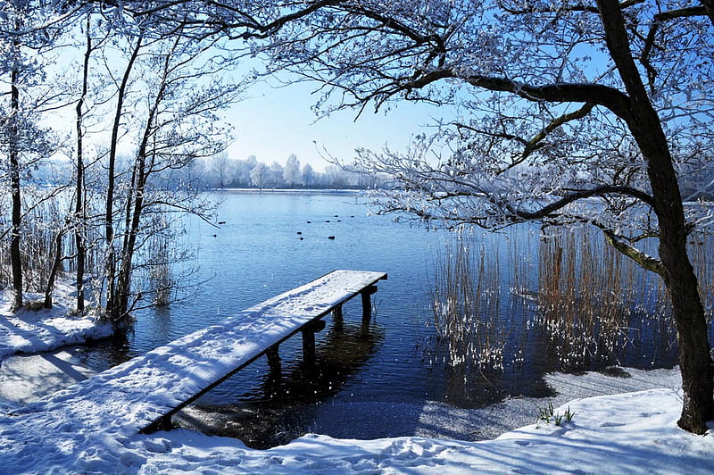 Winter Wonderland, bonito, wonder, trees, lake, winter, dock, snow, sunshine, white, HD wallpaper