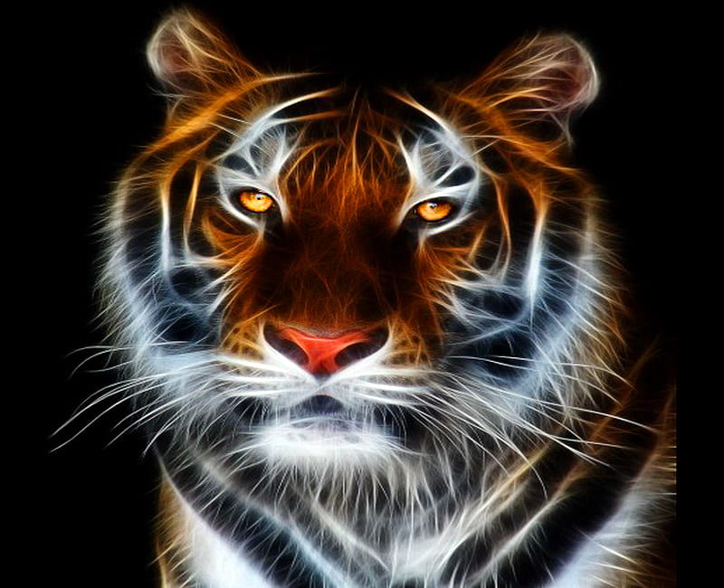 Tiger, orange, black, face, skin, white, eyes, animal, HD wallpaper