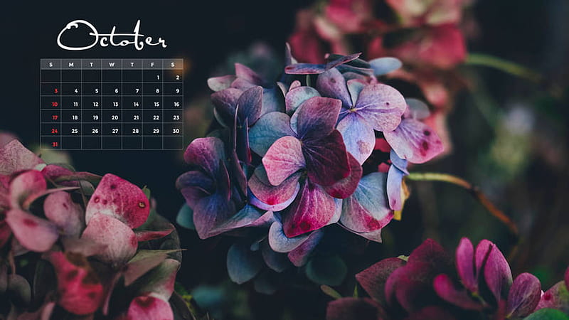 Purple Flowers October Calendar 2021 Black Background October, HD wallpaper