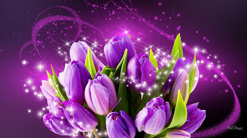 Spring Dazzle, stars, fragrant, glitter, shine, spring, silk, purple, bright, flowers, tulips, smoke, Firefox Persona theme, HD wallpaper