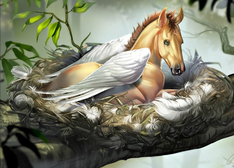 Pegasus nest, art, wings, luminos, horse, branch, baby, cute, tree, fantasy, pegasus, nest, feather, aomori, HD wallpaper