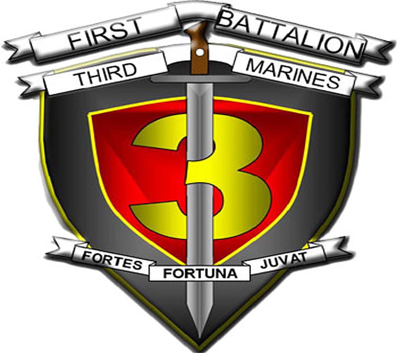 Usmc 1st Bn 3rd Mar, 1st bn, 3rd mar, devil dogs, grunt, infantry, marines, HD wallpaper