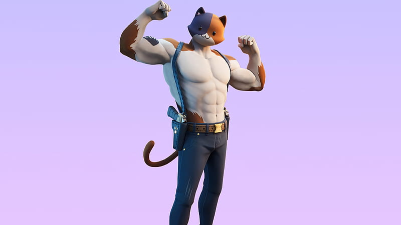 Fortnite Meowscles Skin Outfit, HD wallpaper