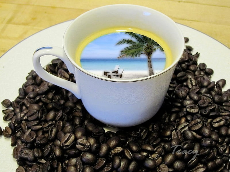 Dream caffee, beach, dream caffe, palm, caffe, dream, HD wallpaper