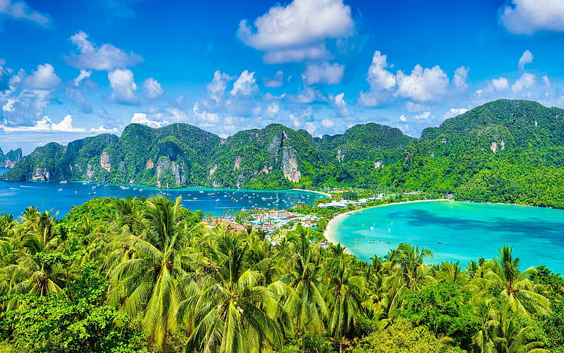 Phi Phi Islands, palm trees, tropical islands, summer travel, bay, yachts,  Thailand, HD wallpaper | Peakpx
