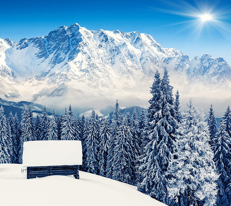 Winter Lodge, fir, forest, house, mountains, snow, sun, tree, HD wallpaper